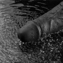 10" REAL SOFTEE Rechargeable TPE Vibrating Dildo(Black) Lovetoy
