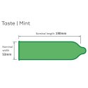 Pasante Mint Tingle Condoms Bulk Packs 144 psc Pasante