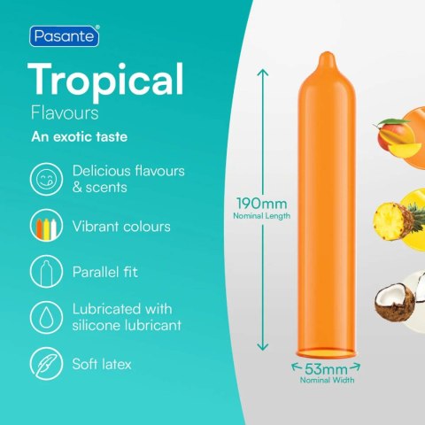 Pasante Tropical Condoms Bulk Packs 144 pcs Pasante