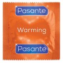 Pasante Warming Condoms Bulk Packs 144 pcs Pasante