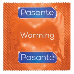 Pasante Warming Condoms Bulk Packs 144 pcs Pasante