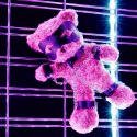 CRUSHIOUS CRUSHITO BONDAGE TEDDY BEAR BLACK 31CM Crushious
