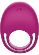 Put A RIng On It CRing Remote Fuchsia TOYJOY