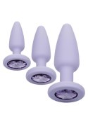 Crystal Booty Kit Purple CalExotics