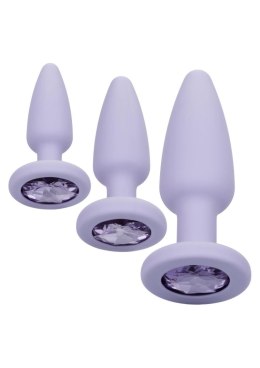 Crystal Booty Kit Purple CalExotics