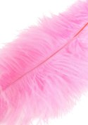 Double Feather Tickler Pink Hidden Desire