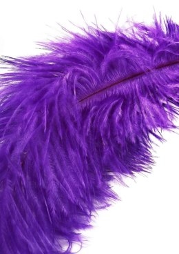 Double Feather Tickler Purple Hidden Desire