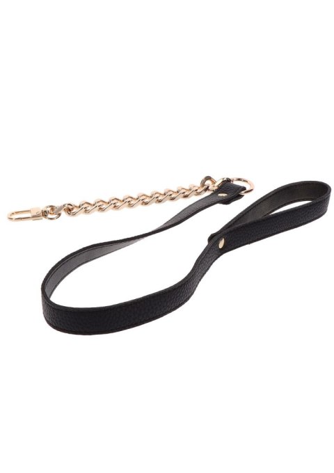 Statement Collar and leash Rose Gold Taboom