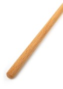 The Obedience Cane Hidden Desire