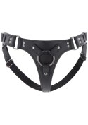 Classic Strap-On Hidden Desire