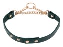 Day Collar Sportsheets