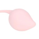 Pelvic Stem Kegel Kit - Multicolor Loveline