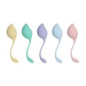 Pelvic Stem Kegel Kit - Multicolor Loveline