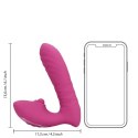 Thrusting and Tapping Vibrator - Powerful Pink Loveline