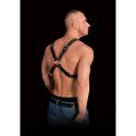Adonis - High Halter Harness Ouch!