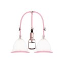 Breast Pump Set - Large Pumped