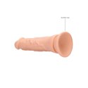 Dong without Testicles - 17 cm RealRock
