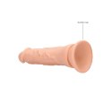Dong without Testicles - 23 cm RealRock