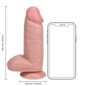 Extra Thick Straight with Balls 20,3 cm - Flesh RealRock