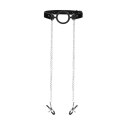 O-Ring Ball Gag with Nipple Clamps Ouch!