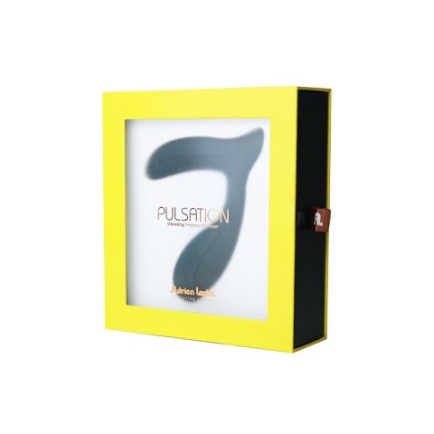 Pulsation (Prostate Stimulator + APP) Adrien Lastic