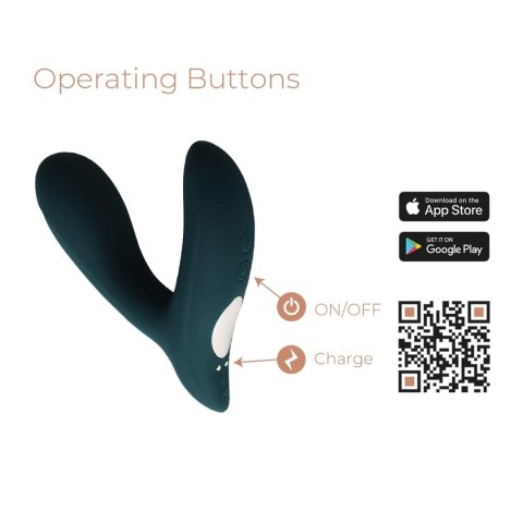Pulsation (Prostate Stimulator + APP) Adrien Lastic