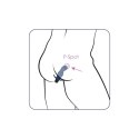 Gladius Vibrator Plug Alive