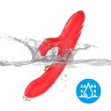 Red Spider Mite B - Series Joy