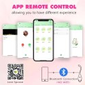 App Love Egg Purple B - Series Cute