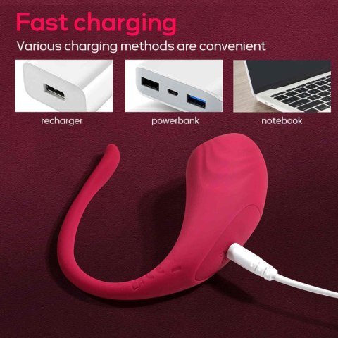 App Love Egg Red B - Series Cute