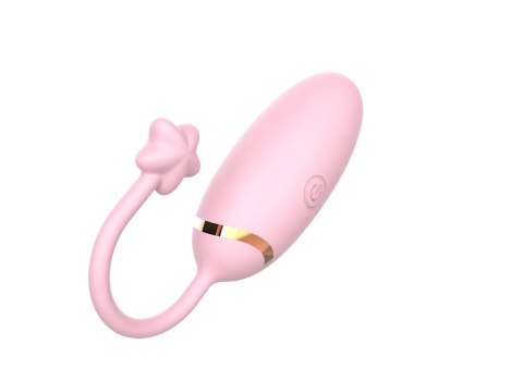 Love Egg - APP 2.0 B - Series Cute
