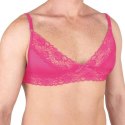 Prowler Pink Lace Bra Large Prowler
