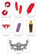 Pleasure Box 3 VARIOUS CONCORDE