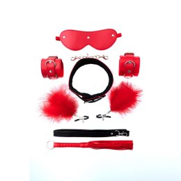 Bondage Set consists of 5 BDSM pieces Fantasy