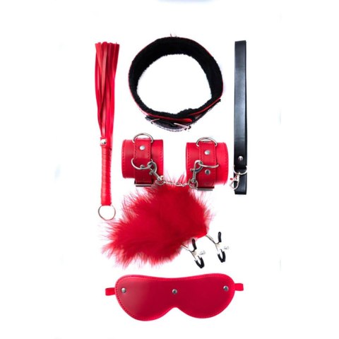 Bondage Set consists of 5 BDSM pieces Fantasy