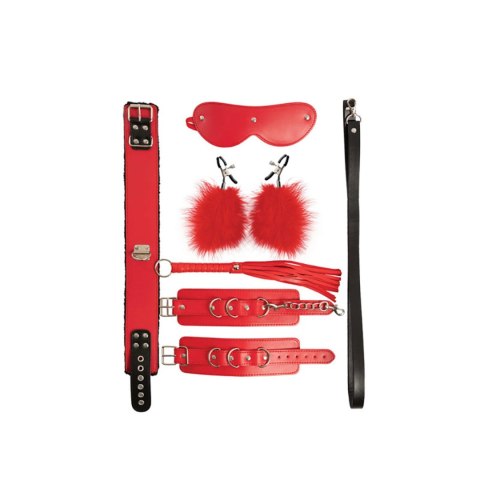 Bondage Set consists of 5 BDSM pieces Fantasy