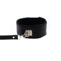 Collar with detachable leash Fantasy