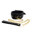 Collar with detachable leash Fantasy