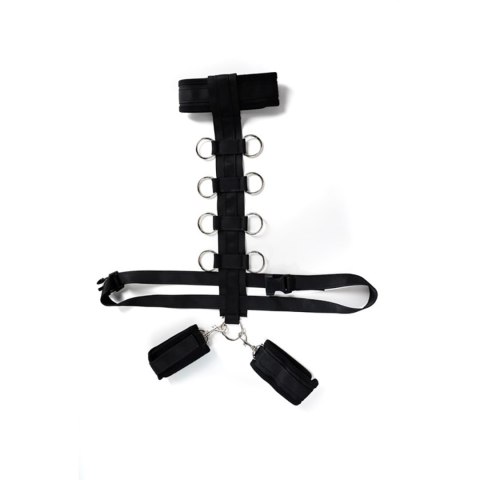 Harness with adjustable neck, belt and breastplate with rings Fantasy