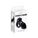 ABS Penis Cage with Advanced Locking Mechanism Fantasy