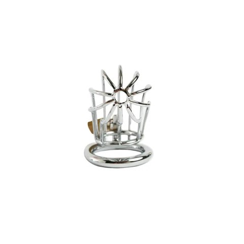 Cock cage made of 100% stainless steel Fantasy