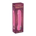 Pink vibrator - 10 different modes of vibration and heating function Fantasy