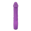 Purple vibrator - 10 different modes of vibration and heating function Fantasy