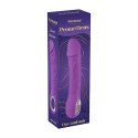 Purple vibrator - 10 different modes of vibration and heating function Fantasy