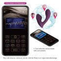 FRANZ, 10 vibration functions Mobile APP remote control Pretty Love
