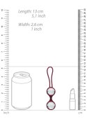 (S)explore - Toy Kit for Her - Dark Cherry Loveline