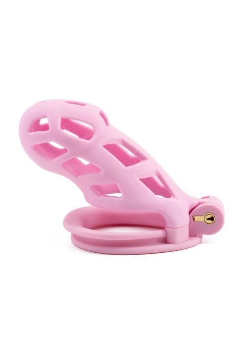 Penis Prison Cock Cage Long Pink Hidden Desire