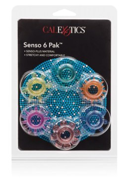 Senso 6 Pack Multicolor CalExotics