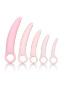 Silicone Dilator 5pcs Set Pink CalExotics