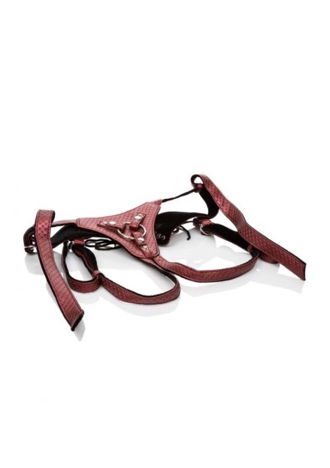 The Regal Queen Red CalExotics